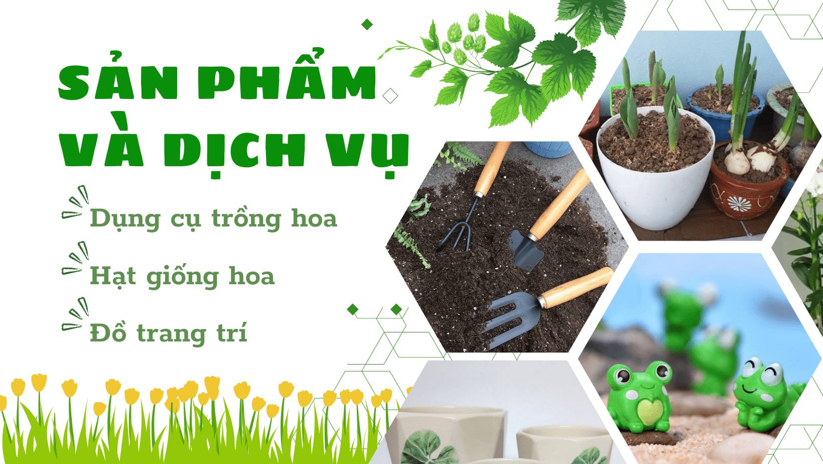 Banner dịch vụ